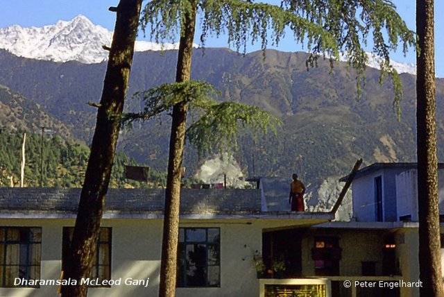 Kloster der Tibeter in McLeod Ganj Dharamsala, Himachal Pradesh